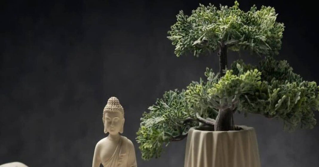 Feng Shui Tips for Home। घर में शांति के लिए फेंगशुई टिप्स