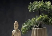 Feng Shui Tips for Home। घर में शांति के लिए फेंगशुई टिप्स