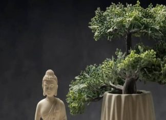 Feng Shui Tips for Home। घर में शांति के लिए फेंगशुई टिप्स
