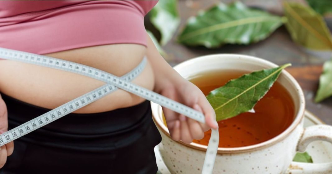 Bay leaf tea for weight loss: तेजपत्ते की चाय के फायदे, जानें बनाने का तरीका