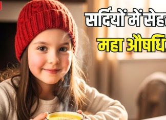 Winter Care: सर्दियों में हमेशा अपने साथ रखें ये 3 चीजें, शरीर में बढ़ेगी इम्युनिटी और सेहत भी रहेगी अच्छी