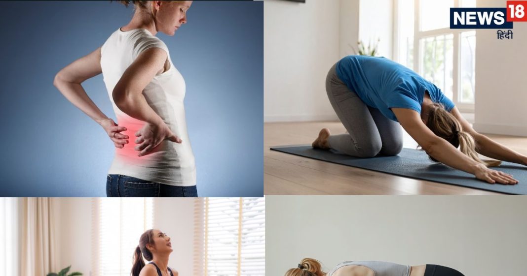 पीठ में रहता है दर्द? मलहम लगाने पर भी नहीं मिलता आराम, लाइफस्टाइल में शामिल करें 3 योगासन, तुरंत दिखेगा फर्क