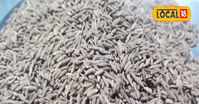 अगहन मास में क्यों नहीं खाना चाहिए जीरा? जानें क्या