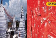 कहीं दो चट्टानों के बीच विराजमान, तो कहीं शिव के रुद्रावतार के रूप में देते दर्शन, ये हैं देवघर के टॉप-5 हनुमान मंदिर