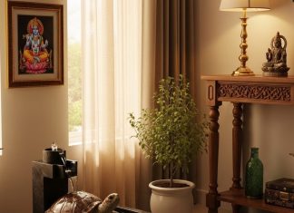 घर में कछुआ रखने से पहले जान लें ये बातें…दूर होगी पैसों की तंगी और व्यापार में होगी तरक्की!