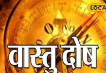 घर में कहीं भी रख देते डस्टबिन? आने वाली है ये आपदा, उज्जैन आचार्य से समझें वास्तु नियम