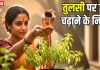 तुलसी को जल देते वक्त न करें ये 5 गलतियां, नाराज हो जाएंगी धन की देवी लक्ष्मी! जान लीजिए जल चढ़ाने से जुड़े नियम