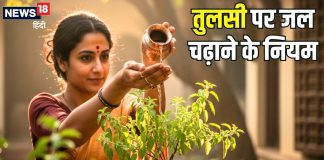 तुलसी को जल देते वक्त न करें ये 5 गलतियां, नाराज हो जाएंगी धन की देवी लक्ष्मी! जान लीजिए जल चढ़ाने से जुड़े नियम