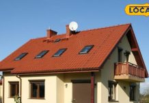 नए साल के पहले घर के दरवाजे पर दिखे ये जीव, तो समझ जाएं 2026 होगा लकी, चमकने वाली है किस्मत!