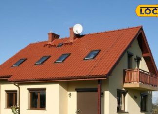 नए साल के पहले घर के दरवाजे पर दिखे ये जीव, तो समझ जाएं 2026 होगा लकी, चमकने वाली है किस्मत!