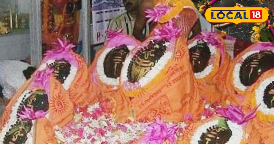 मधुबनी के ये हैं टॉप 5 धार्मिक पर्यटक स्थल, जगहें देखते ही भूल जाओगे दुनिया, देखें Photos