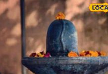 साल में सिर्फ एक बार मिलता है ऐसा दुर्लभ योग! पौष पुत्रदा एकादशी पर क्या करें, क्या न करें? – Uttarakhand News