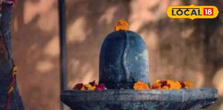 साल में सिर्फ एक बार मिलता है ऐसा दुर्लभ योग! पौष पुत्रदा एकादशी पर क्या करें, क्या न करें? – Uttarakhand News