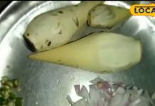 स्वाद भी, सेहत भी, कोसा की कचरी और उसकी रसदार सब्जी की कहानी