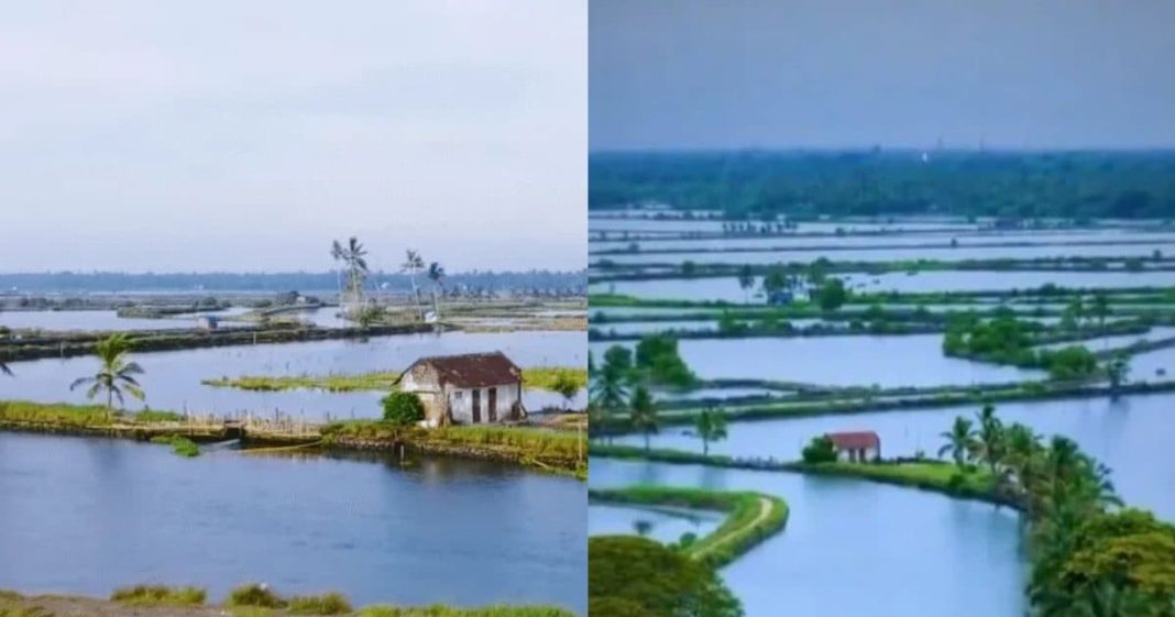 Floating Village : पानी पर तैरता हुआ गांव, टूरिस्ट्स के लिए है स्वर्ग, पता लगाएं कहां है यह और जानें में कितना आता है खर्च!