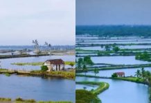 Floating Village : पानी पर तैरता हुआ गांव, टूरिस्ट्स के लिए है स्वर्ग, पता लगाएं कहां है यह और जानें में कितना आता है खर्च!