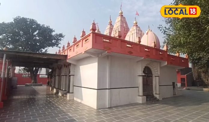 250 साल पुराने बाबा काले सिंह मंदिर में नाग रूप
