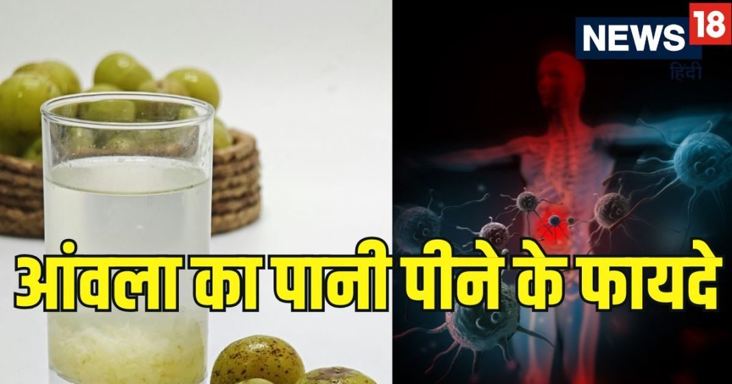 What happens if you drink Amla water: आंवला का पानी पीने से क्या होता है