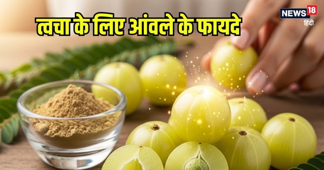Benefits of Amla for Skin: त्वचा के लिए संजीवनी है आंवला, जानें इसके फायदे