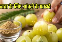 Benefits of Amla for Skin: त्वचा के लिए संजीवनी है आंवला, जानें इसके फायदे