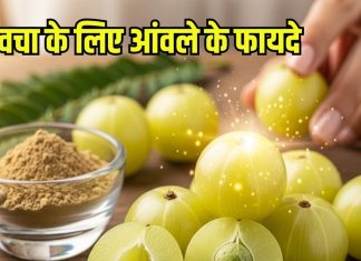Benefits of Amla for Skin: त्वचा के लिए संजीवनी है आंवला, जानें इसके फायदे