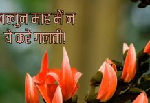 Phalgun Month 2026। फाल्गुन माह 2026 में किन कार्यों से बचना चाहिए?