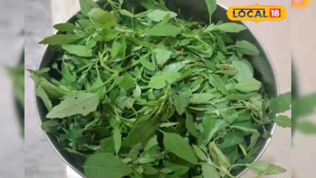 चूल्हे की खुशबू और साग का स्वाद, ठंड में देसी खाने का उठाएं मजा, स्वाद और सेहत दोनों रहेगा मस्त