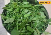 चूल्हे की खुशबू और साग का स्वाद, ठंड में देसी खाने का उठाएं मजा, स्वाद और सेहत दोनों रहेगा मस्त