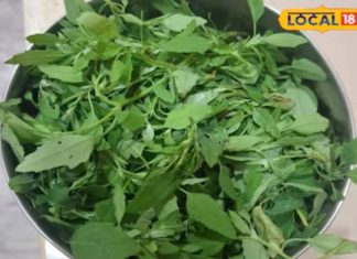 चूल्हे की खुशबू और साग का स्वाद, ठंड में देसी खाने का उठाएं मजा, स्वाद और सेहत दोनों रहेगा मस्त