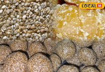 मकर संक्रांति से पहले क्यों बनाए जाते हैं तिल के लड्डू, जानें इसकी परंपरा, आसान रेसिपी और फायदे