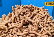 рдЧреБрдбрд╝, рдЖрдЯрд╛, рдЪрд╛рд╡рд▓, рдмреЗрд╕рди рд╕реЗ рдмрдирддреА рд╣реИ рдпрд╣ рджреЗрд╕реА рдмрд┐рд╣рд╛рд░реА рдорд┐рдард╛рдИ, рдореВрдВрдЧрдлрд▓реА рдХреА рддрд░рд╣ рдЦрд╛рддреЗ рд╣реИрдВ рд▓реЛрдЧ, рдХрд╣рддреЗ рдЯрд╛рдЗрдордкрд╛рд╕, рдирд╛рдо рд╣реИ