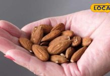 Health Tips: छोटे से बादाम में छिपा है सेहत का खजाना, जानिए ठंड में इसे खाने का सही तरीका