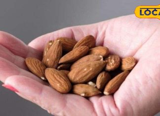 Health Tips: छोटे से बादाम में छिपा है सेहत का खजाना, जानिए ठंड में इसे खाने का सही तरीका