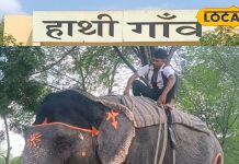 ये है जयपुर का हाथियों वाला गांव, न्यू ईयर पर आए हैं घूमने तो जरूर करें एक्सप्लोर, दिल खुशी से हो जाएगा बाग-बाग