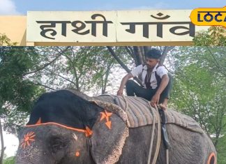 ये है जयपुर का हाथियों वाला गांव, न्यू ईयर पर आए हैं घूमने तो जरूर करें एक्सप्लोर, दिल खुशी से हो जाएगा बाग-बाग