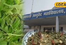 साग ऐसा जिससे बढ़ता हीमोग्लोबिन, लीवर के लिए वरदान! गांववालों की सेहत का यही राज – Madhya Pradesh News