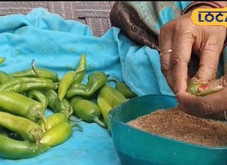 सर्दियों में चटपटा स्वाद चाहिए? घर पर इस तरह बनाएं हरी मिर्च का भरवा अचार, सालों तक नहीं होगा खराब – Uttar Pradesh News