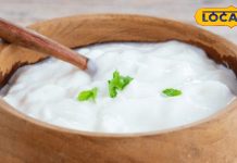 दही जमाने के आसान तरीके और सर्दियों में सेवन के फायदे.