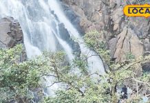 ये है झारखंड का सबसे ऊंचा जलप्रपात, पर्यटकों का हॉटस्पॉट, जानें कितनी ऊंचाई से गिरता है पानी – Jharkhand News