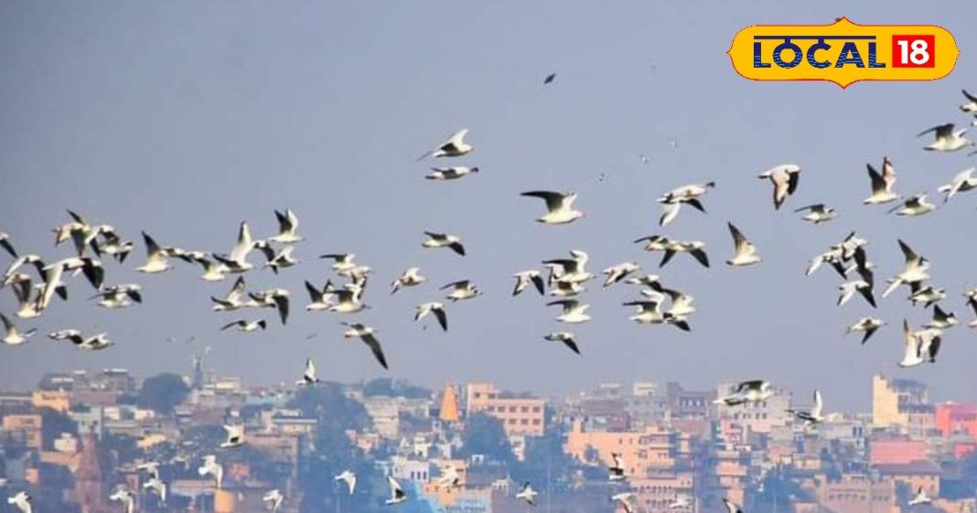 Varanasi beautiful place perfect to enjoy with your family and friends Learn about best picnic spots – Uttar Pradesh News