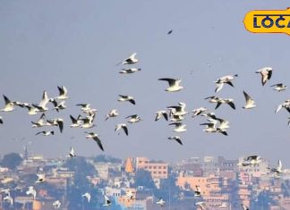 Varanasi beautiful place perfect to enjoy with your family and friends Learn about best picnic spots – Uttar Pradesh News