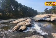 हजारीबाग की सेवाने नदी बनी पर्यटकों की पहली पसंद, कल-कल बहती नदी और घने जंगलों के बीच लें पिकनिक का आनंद – Jharkhand News