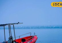 समुद्र जैसा एहसास, जंगलों की गोद में सुकून! पर्यटकों को लुभा रहा पीलीभीत का चूका बीच, पिकनिक के लिए बेस्ट प्लेस