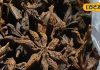 Chakra phool or Star anise Benefits: चक्र फूल मसाला सेहत का खजाना, जानें फायदे
