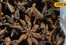 Chakra phool or Star anise Benefits: चक्र फूल मसाला सेहत का खजाना, जानें फायदे