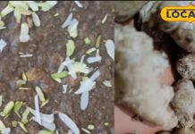 अदरक का हलवा बनाने की विधि | Ginger Halwa Recipe for Winter Immunity