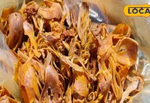 Mace Javithri no less than Sanjivani Keeps entire body including stomach heart in good shape know benefits | संजीवनी से कम नहीं है यह मसाला, पेट, इम्युनिटी, दिल समेत शरीर को अंदर से करता है मजबूत, जाने सबकुछ