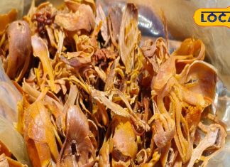 Mace Javithri no less than Sanjivani Keeps entire body including stomach heart in good shape know benefits | संजीवनी से कम नहीं है यह मसाला, पेट, इम्युनिटी, दिल समेत शरीर को अंदर से करता है मजबूत, जाने सबकुछ