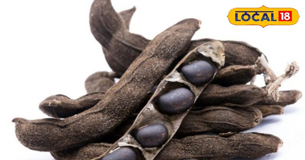 युवाओं में क्यों बढ़ रहा है कौंच बीज का क्रेज? जानिए इसके फायदे और सेवन करने का सही तरीका