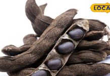 युवाओं में क्यों बढ़ रहा है कौंच बीज का क्रेज? जानिए इसके फायदे और सेवन करने का सही तरीका